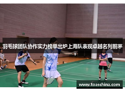 羽毛球团队协作实力榜单出炉上海队表现卓越名列前茅