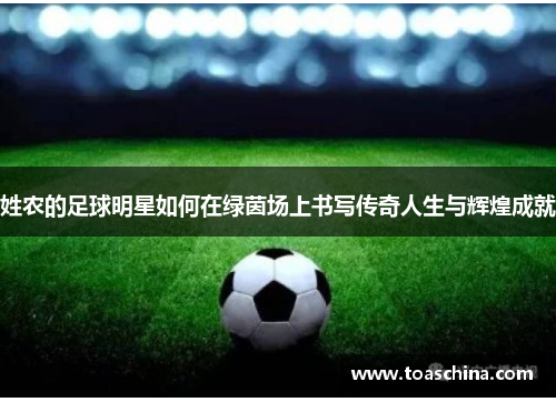 姓农的足球明星如何在绿茵场上书写传奇人生与辉煌成就